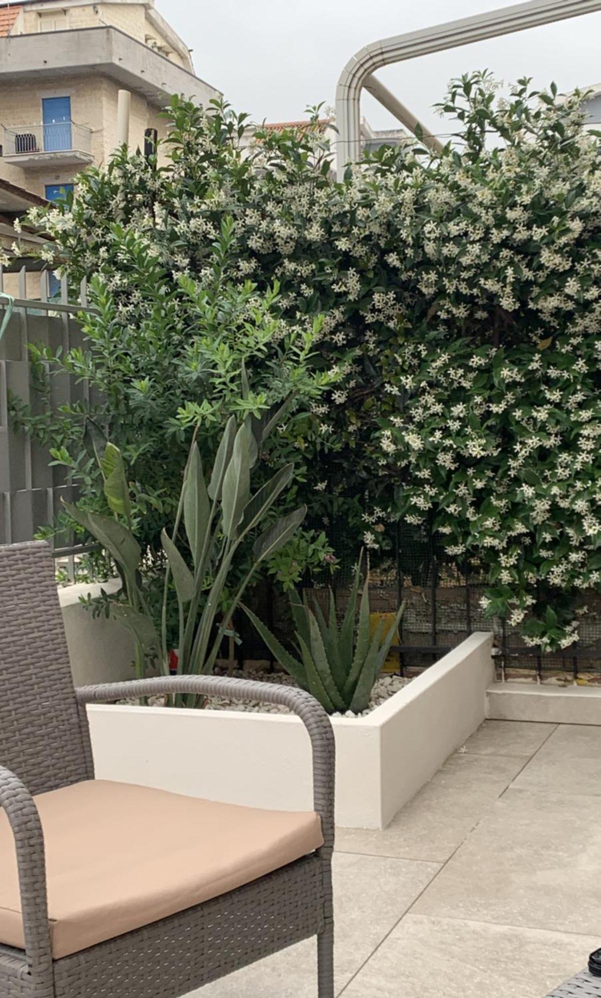 סקליאה Gilda'S Home מראה חיצוני תמונה